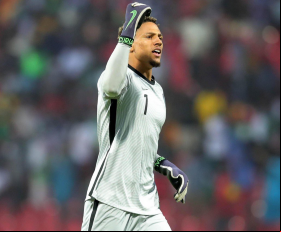 'Russia showed a very high level' - Maduka Okoye its Super Eagles were pushed to the limit
